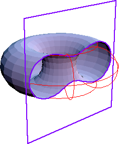 cassinian oval