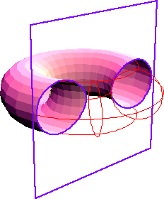 cassinian oval