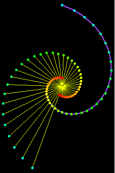 equiangularSpiralRadial