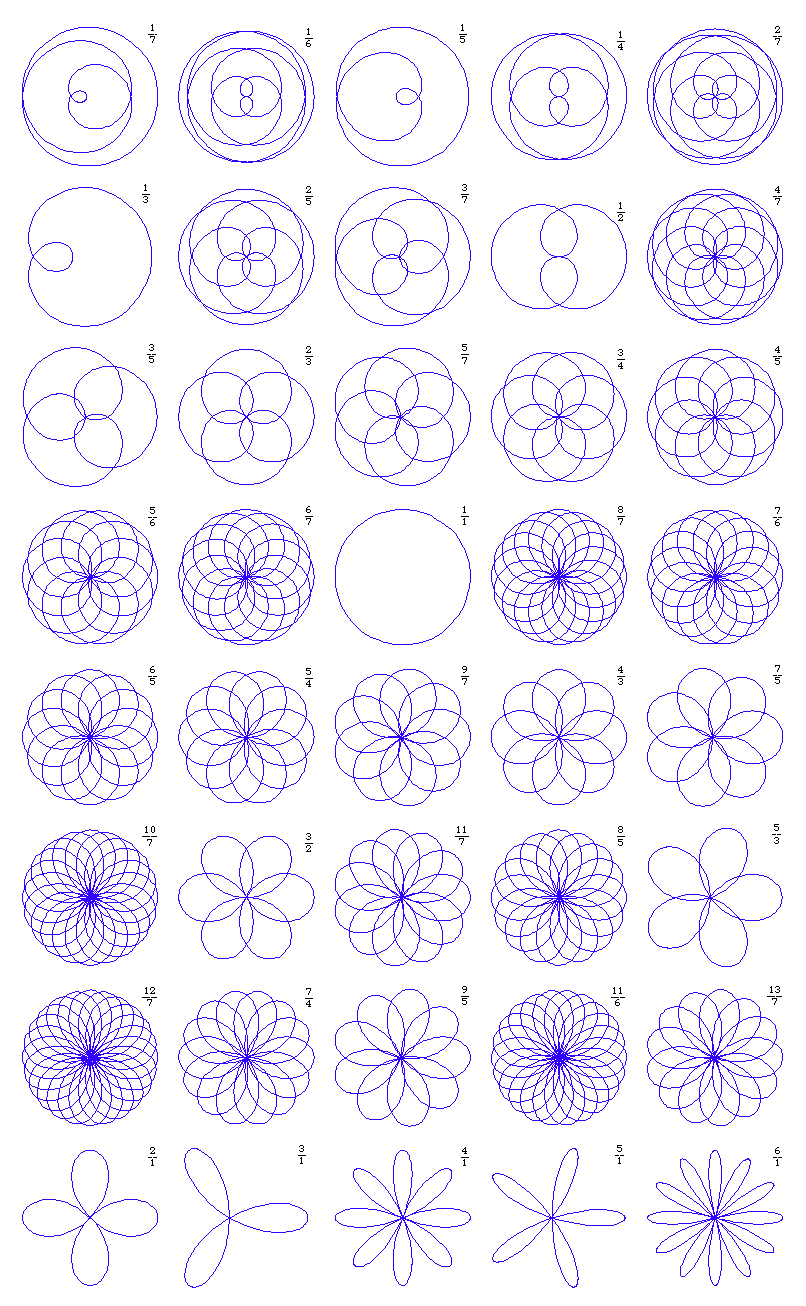 rose curve