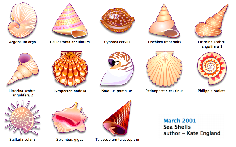 shells icons