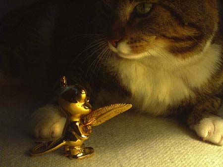 BSD figurine and cat