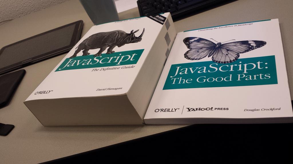 JavaScript books definitive guide vs good parts