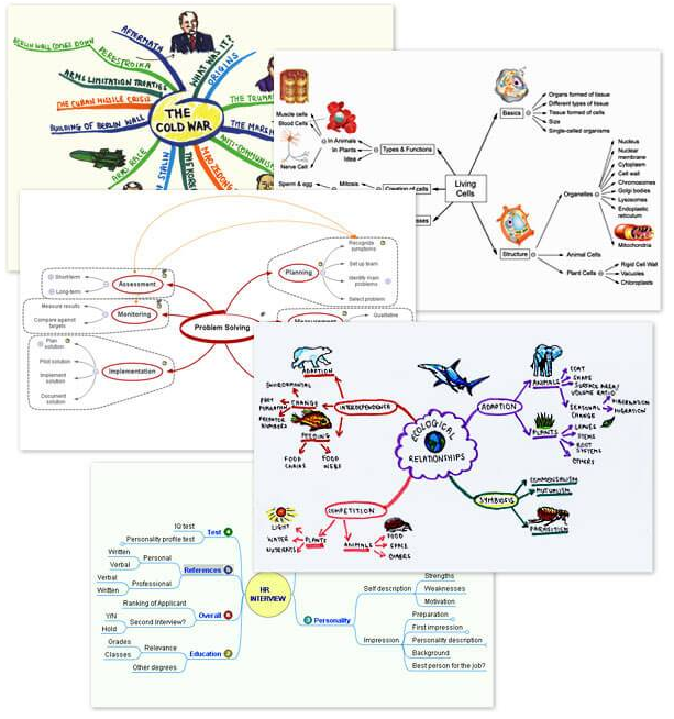 mind map 30e41