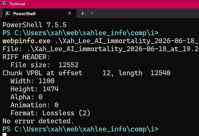 check webp lossless 2026-06-19 3704e
