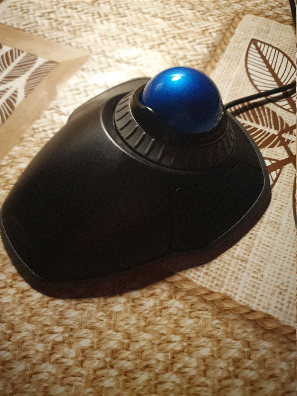 Kensington Orbit Trackball 2025-02-09