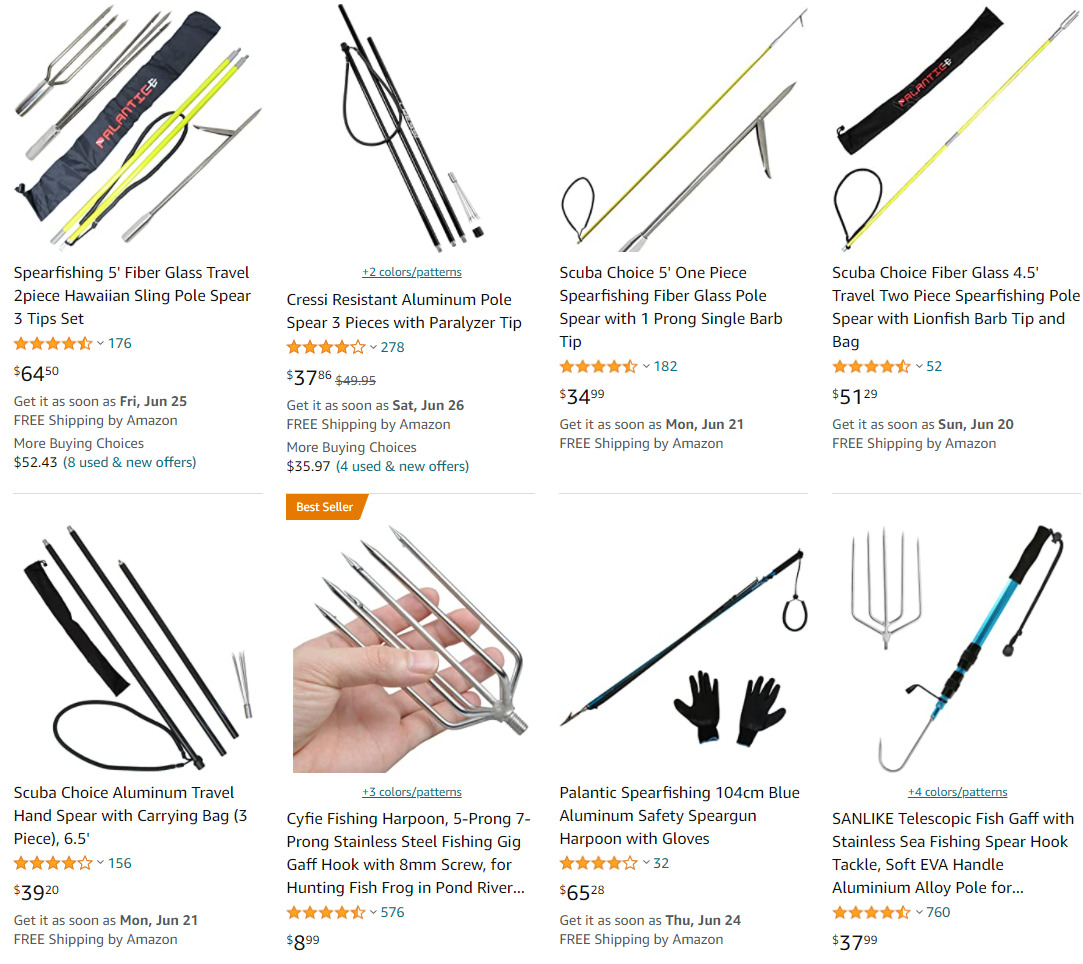fishing spear 2021-06-18