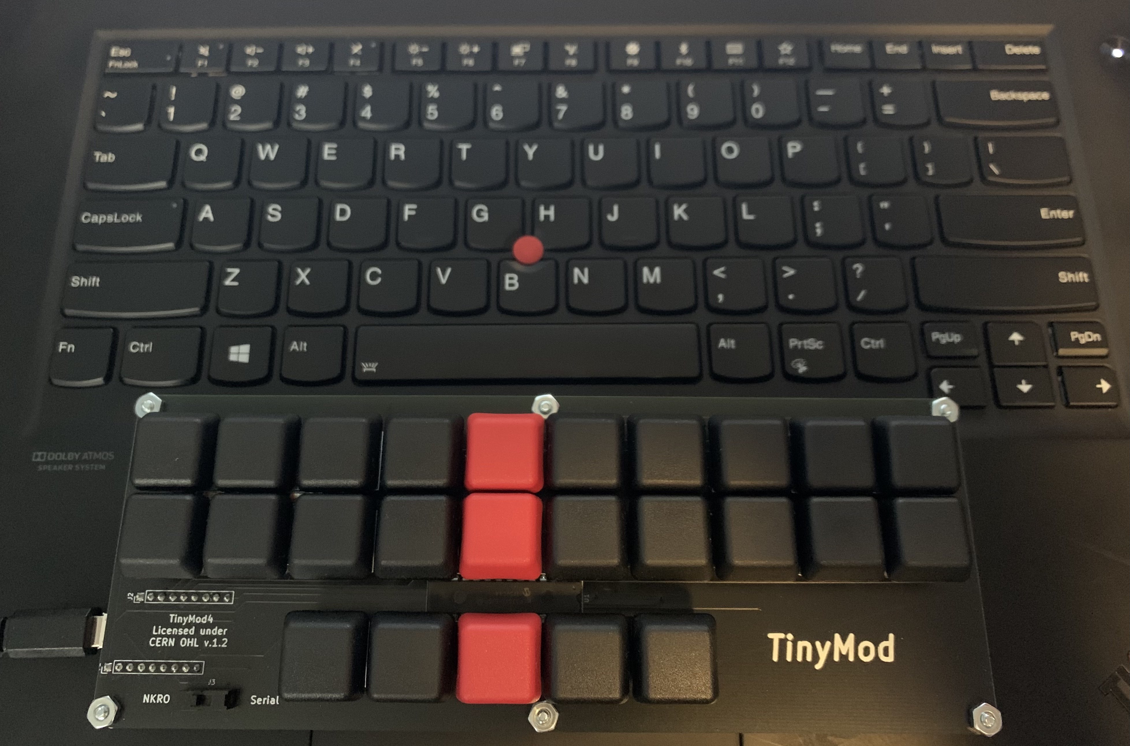 TinyMod steno 2021