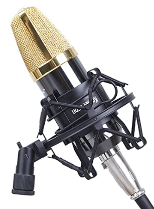 mic shock mount z5FJY