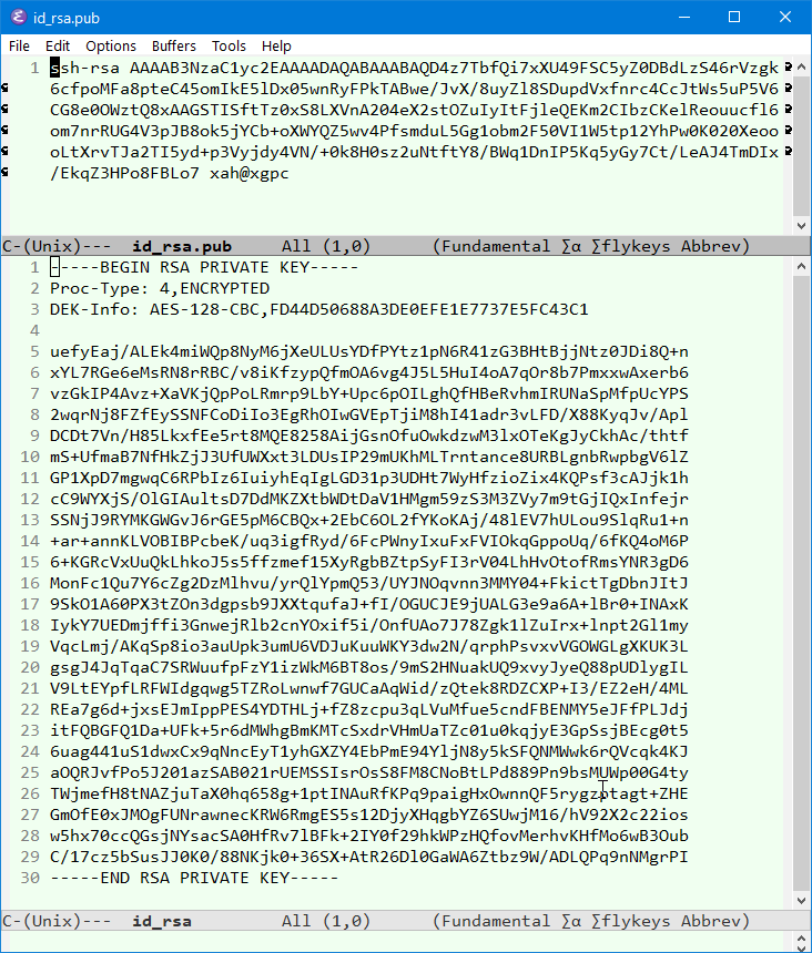 rsa keys sample 2021-02-22 W8Vpf