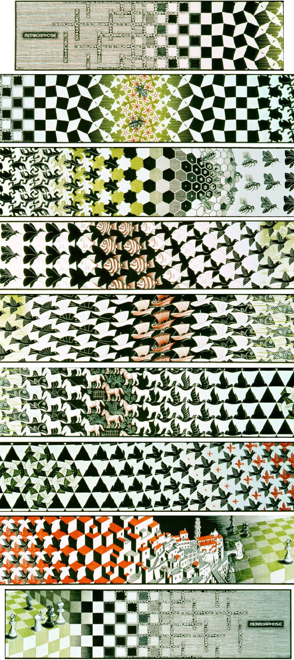 Escher Metamorphosis III