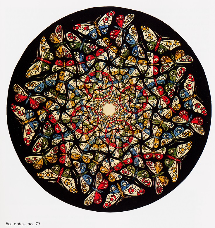 butterfly by M C Escher