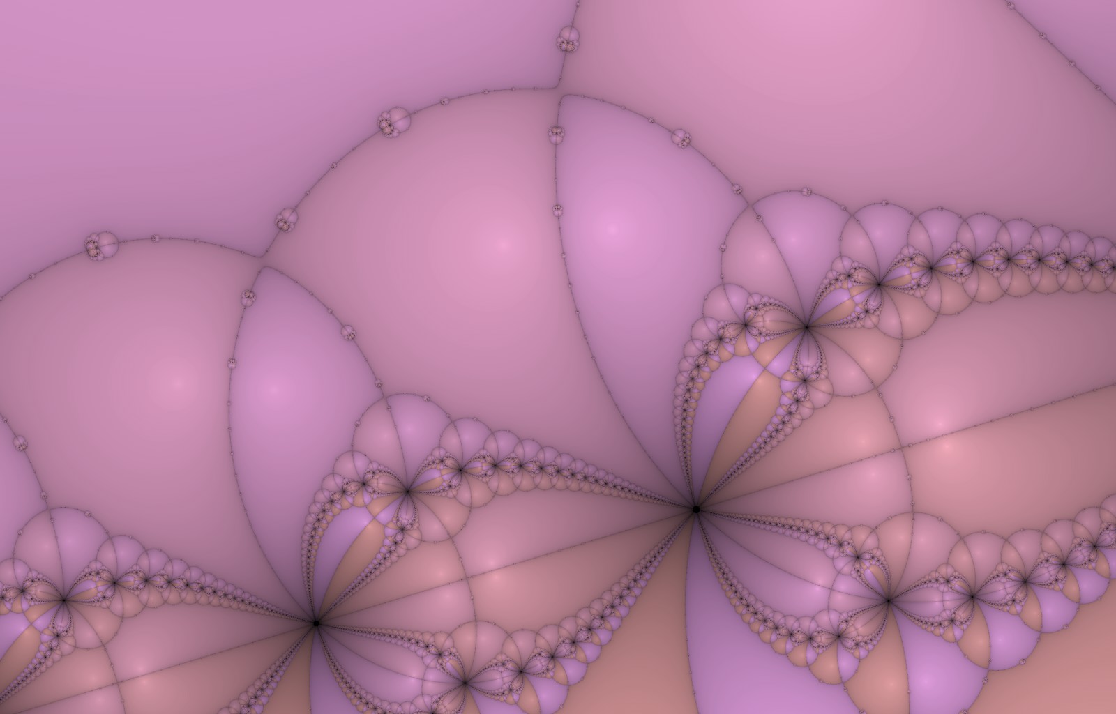 newton basin fractal carapace