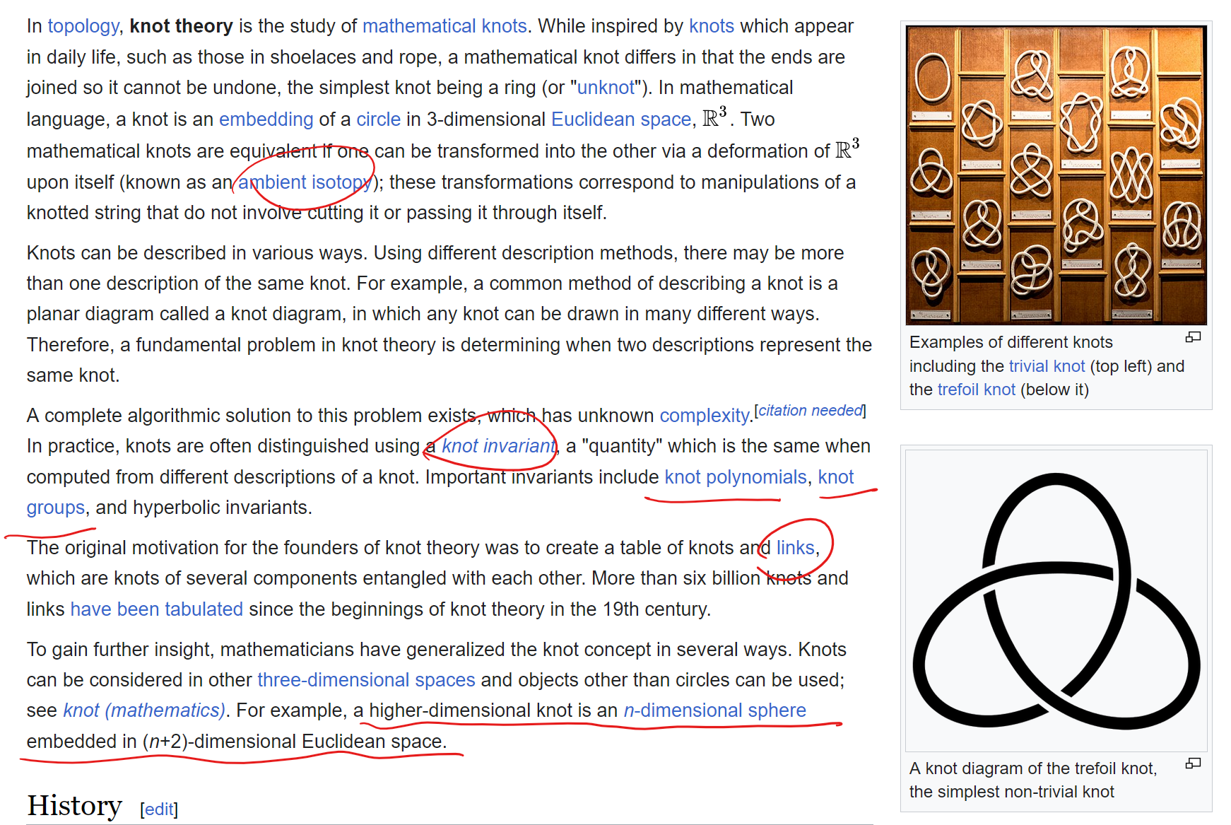 knot theory 2023-11-28 113919