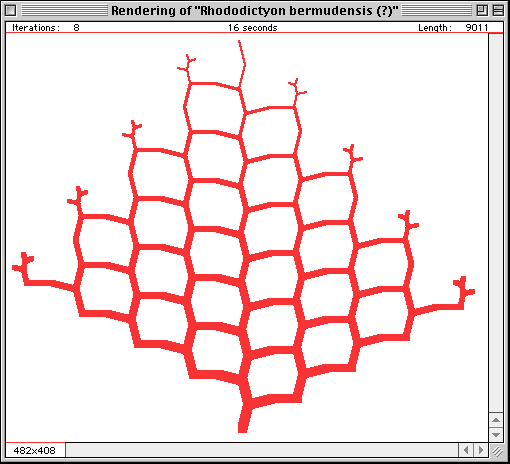 L-System leafnet qPfwb