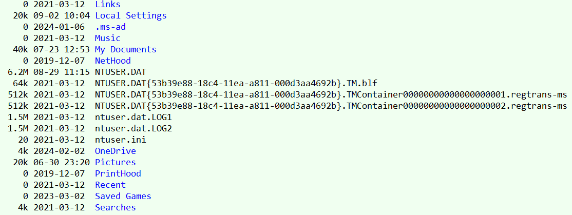 Windows NTUSER.DAT 2024-09-02