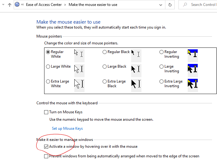 windows10 ease of access mouse 2021-01-18 041337