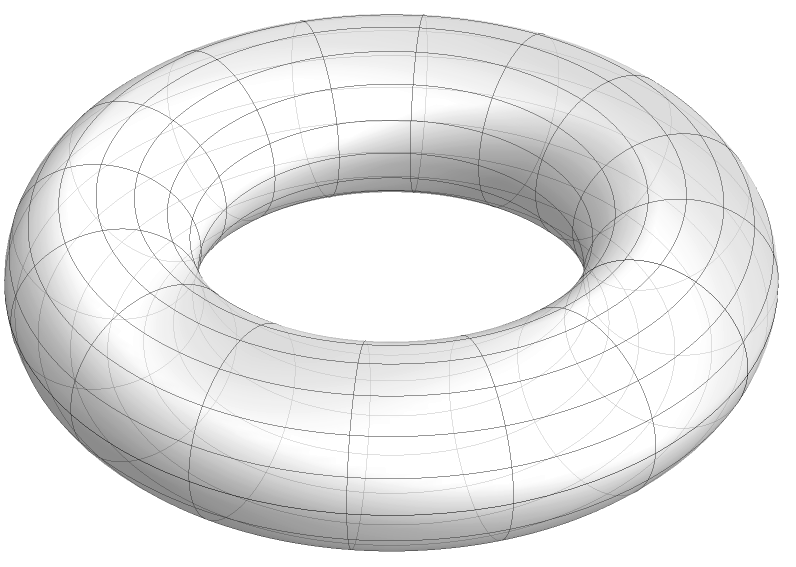 torus 76N94