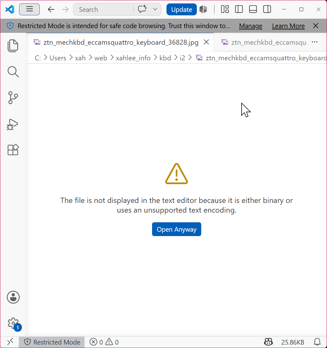 vscode image error 2026-06-21 33860 ll