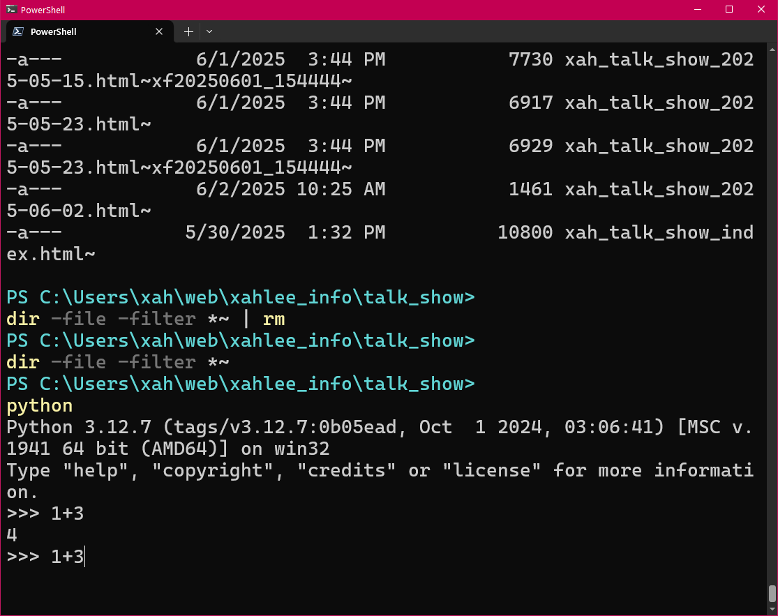 xah talk show 2025-06-02 repl 20b81